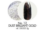 12 Pyłek dekoracyjny Brilliant Gold 2 g Victoria Vynn vinn dust