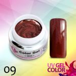 09 Chambord żel allepaznokcie gel kolorowy do paznokci