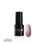 2500 hybryda COLOR IT Premium Silcare 6g UNICORN 2500 hybryda COLOR IT Premium Silcare 6g UNICORN