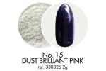 15 Pyłek dekoracyjny Brilliant Pink 2 g Victoria Vynn vinn dust