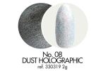 08 Pyłek dekoracyjny Holographic 2 g Victoria Vynn vinn dust