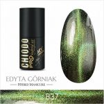 837 5D POWER OF THE EARTH hybryda CHIODO pro 7ml platinum GALAXY STARS by Edyta Górniak