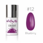follow me #12 bluebrry blueberry by ChiodoPRO nr 012 hybryda 6ml blackpiatek