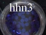 hhn3 sześciokąty plaster miodu holograficzne hologramy heksagon hexagon