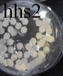 hhs2 sześciokąty plaster miodu holograficzne hologramy heksagon hexagon