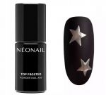 9879-9 NEONAIL TOP FROSTED POWDER NAIL ART neo nail blackpiatek