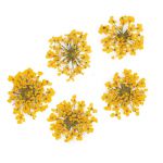 INDIGO suszone żółte kwiatuszki kwiaty kwiatki pojemniczek suszki gałązki