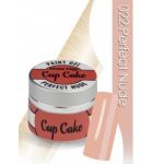 PAINT gel CHIODO 022 cup cake perfect nude painting żel do zdobienia zdobień artisto