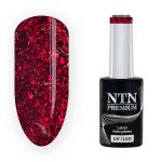 206 NTN PREMIUM passion for love collection LAKIER HYBRYDOWY LED 5g new technology nails