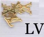 loga logo SREBRNE blaszki LV metalowe 6szt do zdobienia paznokci dior