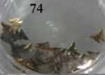 złote blaszki 74 motylki metalowe 10szt do zdobienia paznokci