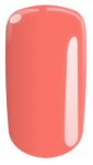 19/1 Pantone 16-1546TPX Living Coral hybryda FLEXY Trendy Colors Of The Year  kiss show