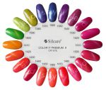 slaydi-color-it-premium-0815